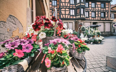 Décoration de mariage dans le Bas Rhin : une tâche essentielle !